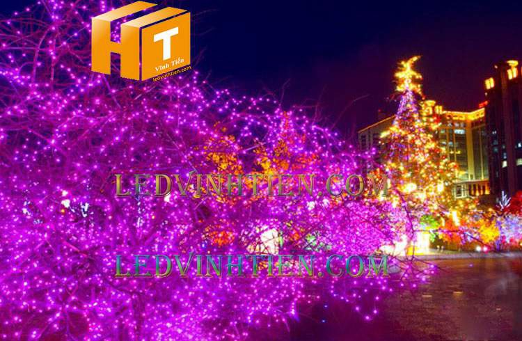 Đèn led noel 10m màu hồng giá rẻ
