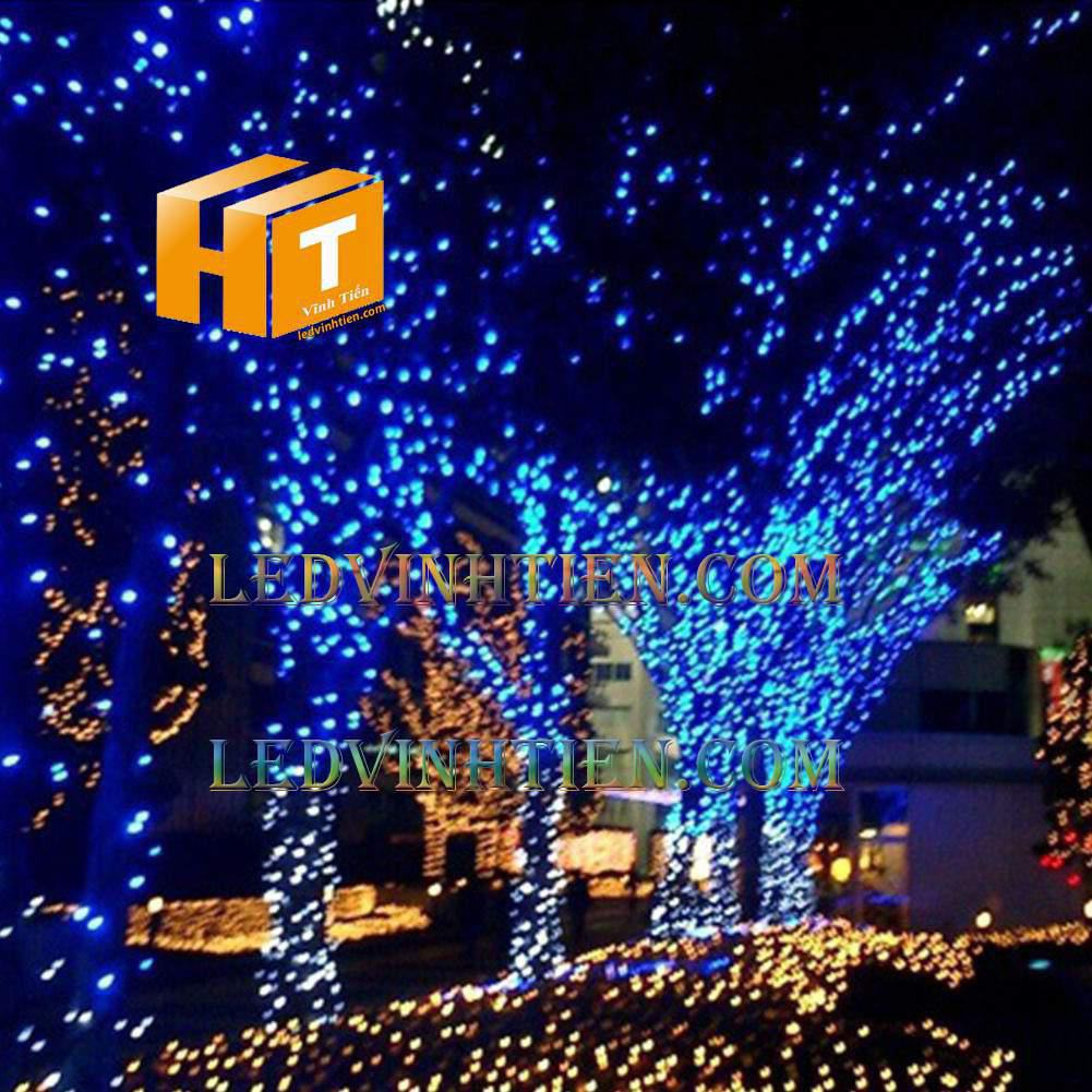 Dây đèn led trang trí noel màu xanh dương 50m