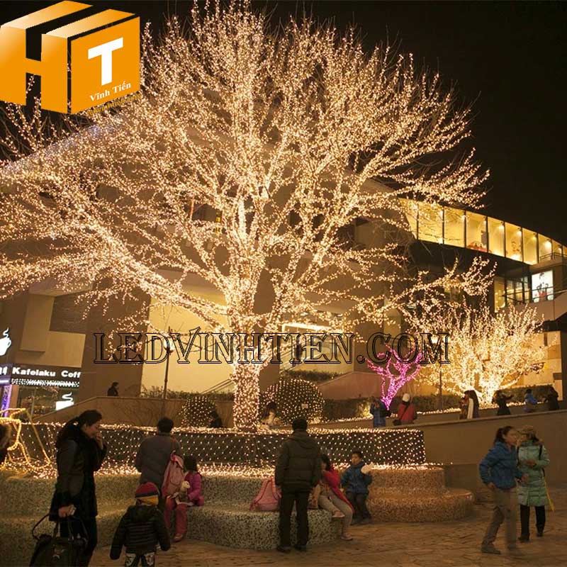 Dây đèn chớp màu vàng 5m