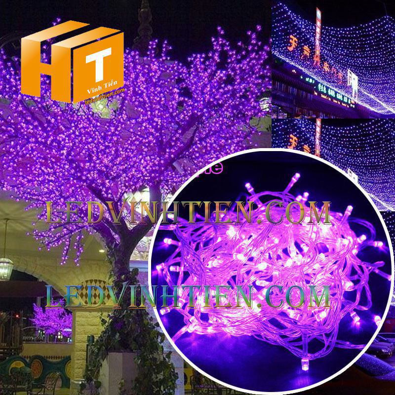 Dây đèn led noel, không chớp, 7m