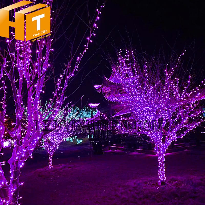 Đèn led dây trang trí giáng sinh màu tím, 7m