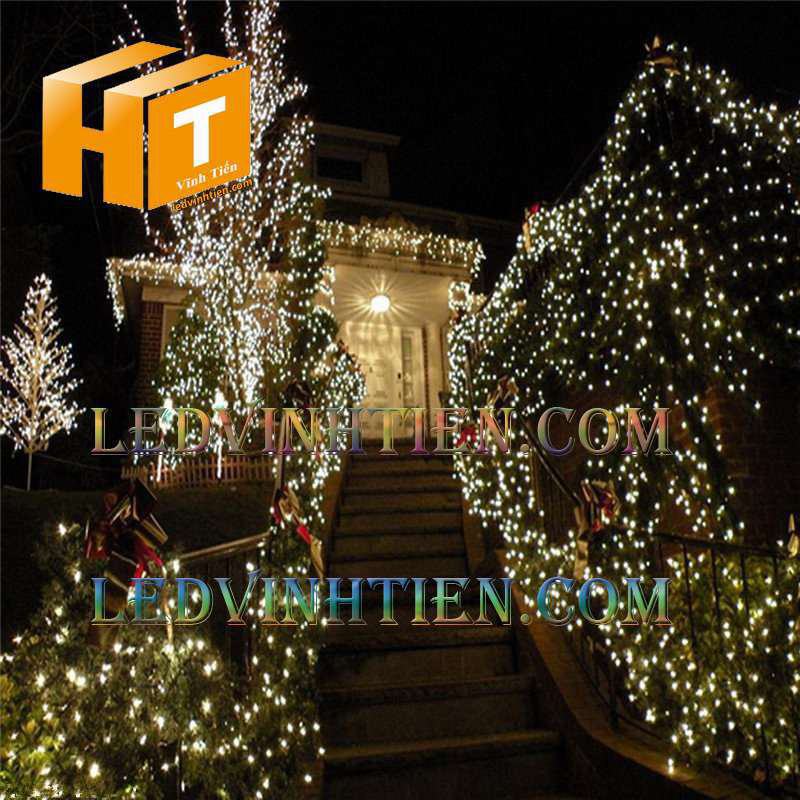 Đèn led trang trí không chớp 7m màu vàng nắng siêu sáng