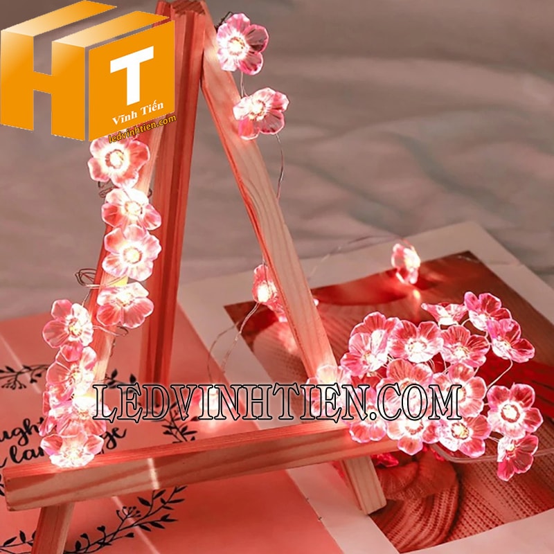 Dây led hình hoa anh đào dùng pin 2m