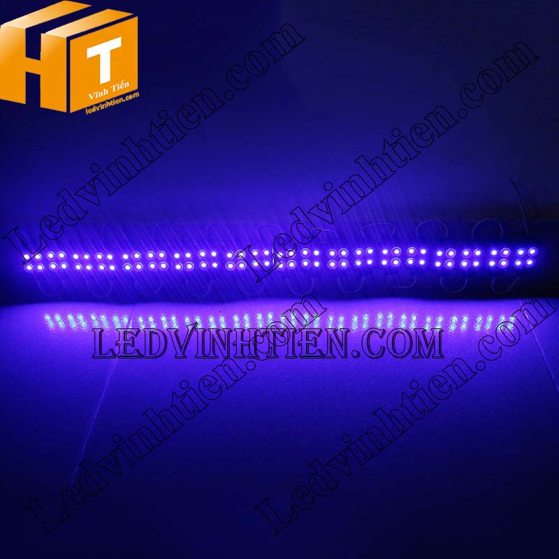 Led hắt 4 bóng GOQ màu xanh dương