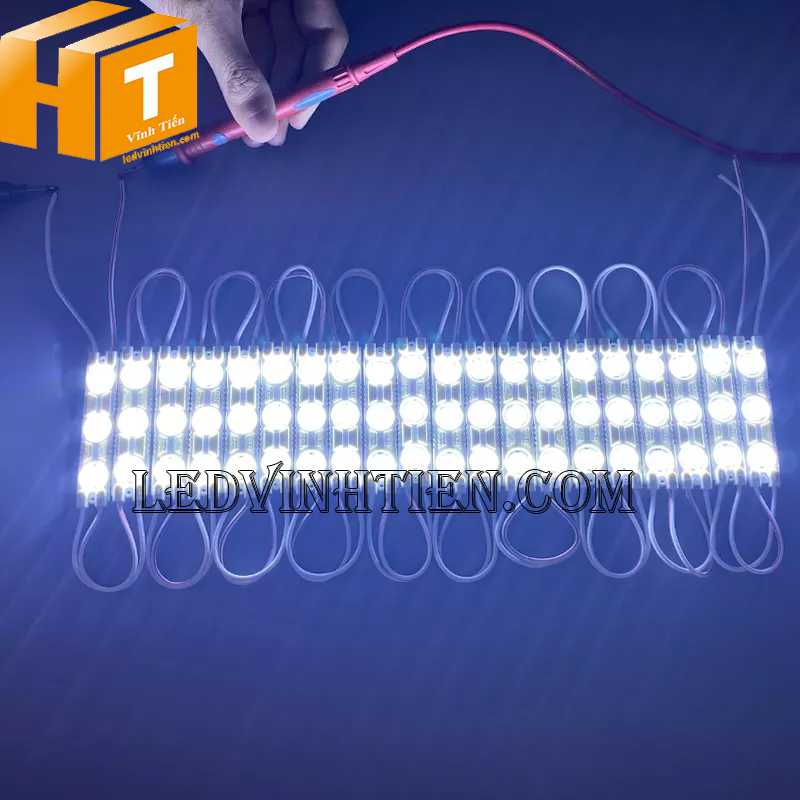 Led module 3 bóng 6113 ánh sáng trắng