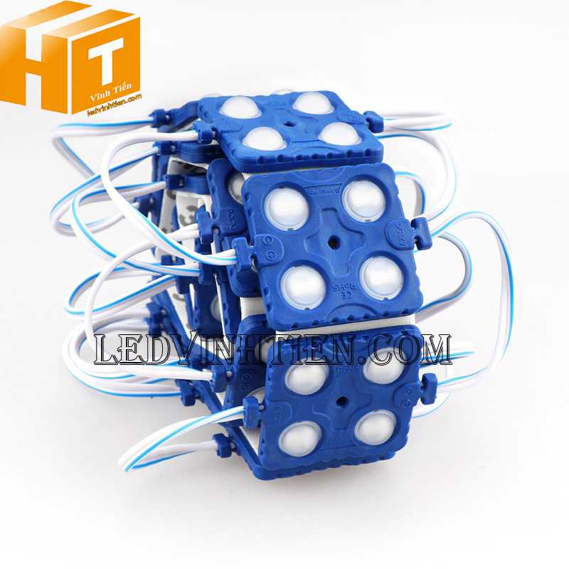 Led module DC12V 4 bóng màu xanh dương giá rẻ