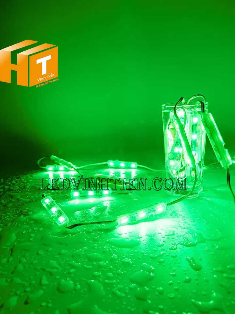 Led module saso màu xanh dương