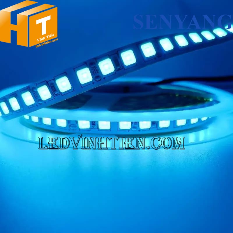 Cuộn Led Dây Dán 5m 12V 5054 SENYANG màu xanh dương