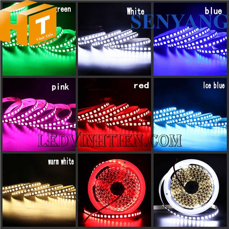 Cuộn Led Dây Dán 5m 12V 5054 SENYANG HG