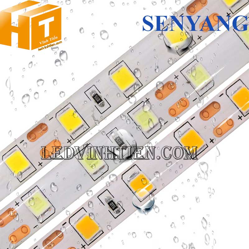 Cuộn Led Dây Dán 5m 12V 5054 SENYANG  Chính Hãng