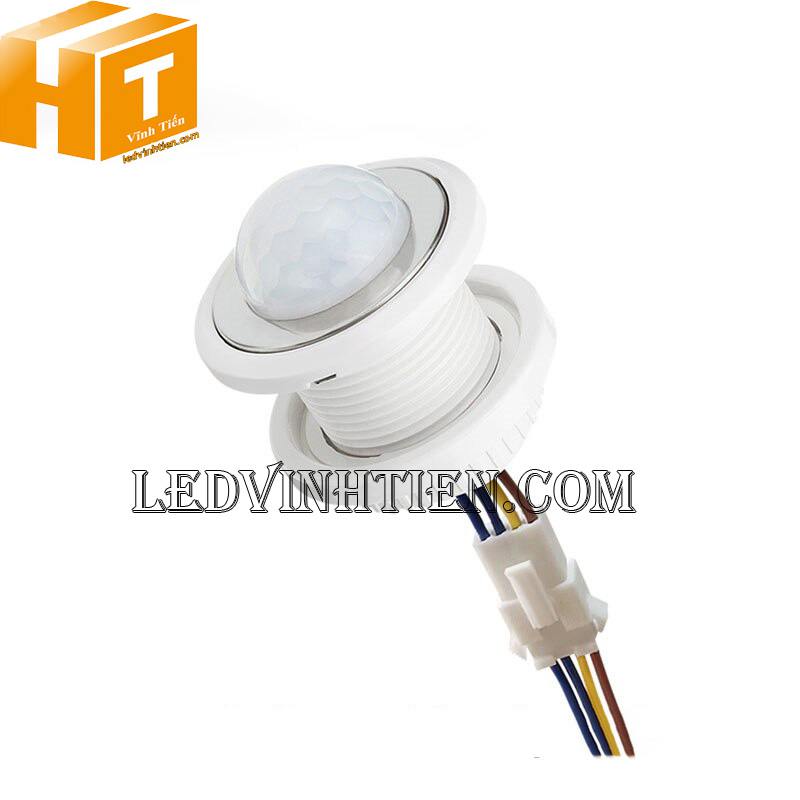 Công tắc cảm biến hồng ngoại PIR