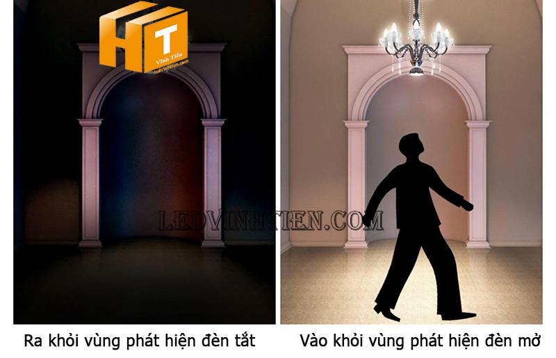 Phân phối sỉ cảm biến chuyển động hồng ngoại hcm