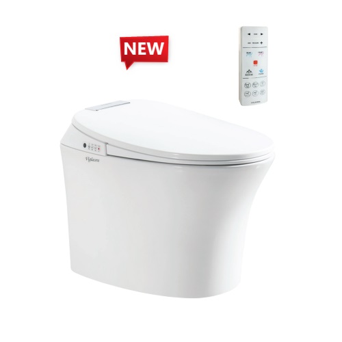 Bán bàn cầu thông minh tại tuy hòa