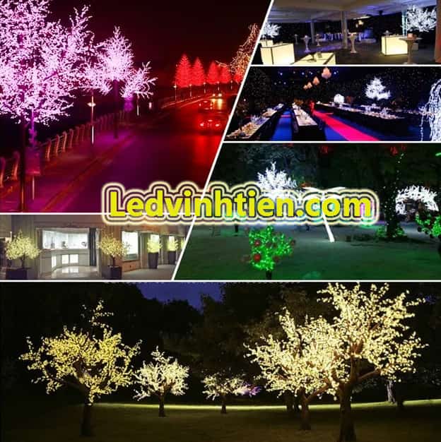 Cây mai đèn led 2m màu vàng