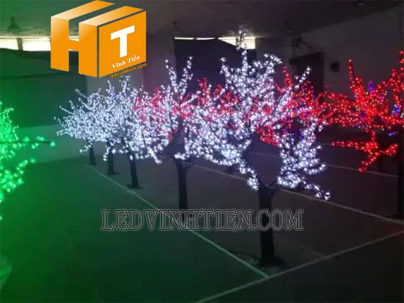 Phân phôi sỉ hoa mai đèn led tại phú yên