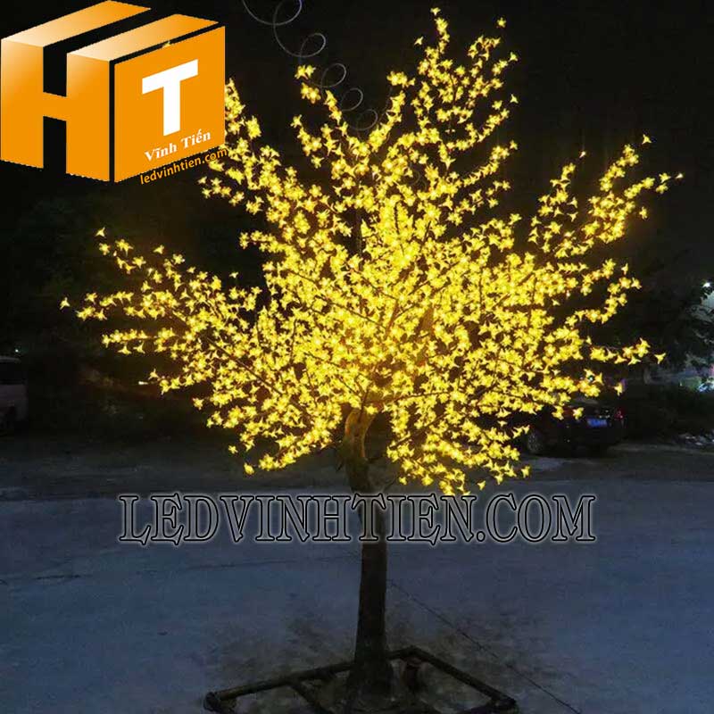 Bán cây hoa mai đèn led giá rẻ tại tuy hoà