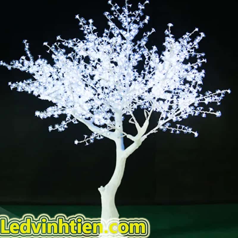 Bán cây hoa đào đèn led tuy hoà