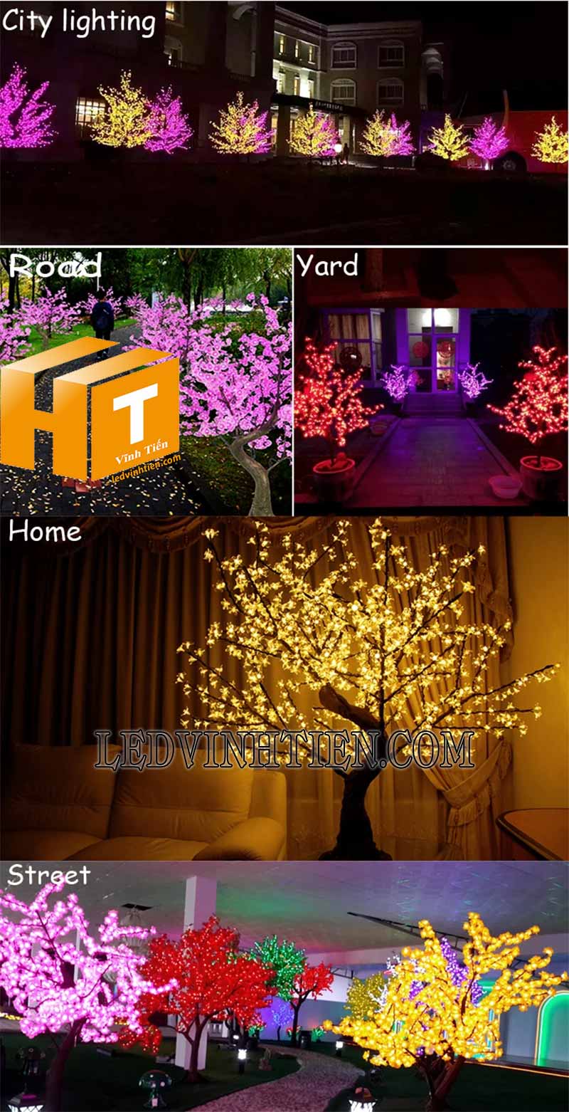 Công ty bán cây hoa đèn led giá rẻ tại tuy hoà