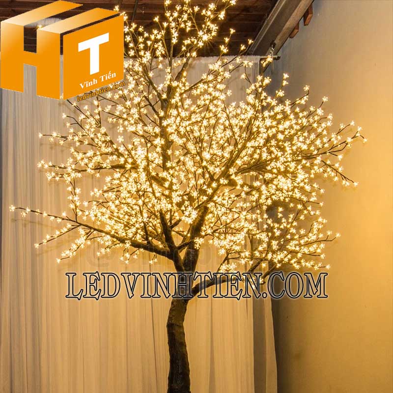 Cây hoa mai đèn led giá rẻ tại tuy hoà