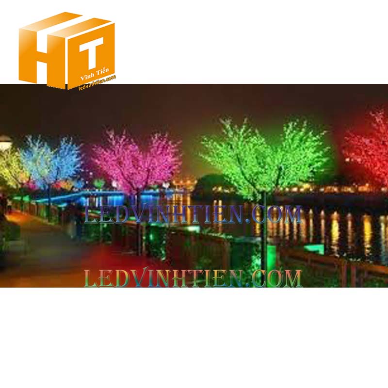Phân phối sỉ cây hoa mai đèn led tại tuy hoà