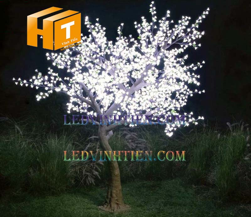 Hoa mai đèn led màu trắng siêu sáng