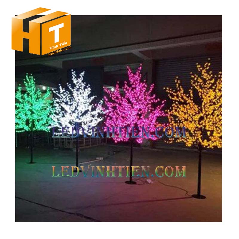 Công ty vĩnh tiến bán cây hoa mai đèn led