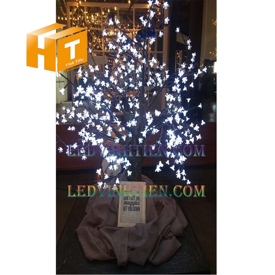 Hoa mai đèn led 4m màu trắng loại tốt