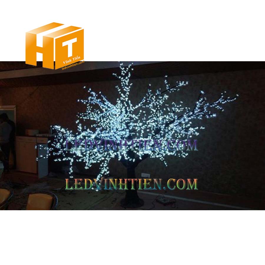 Hoa mai đèn led 4m màu trắng siêu sáng