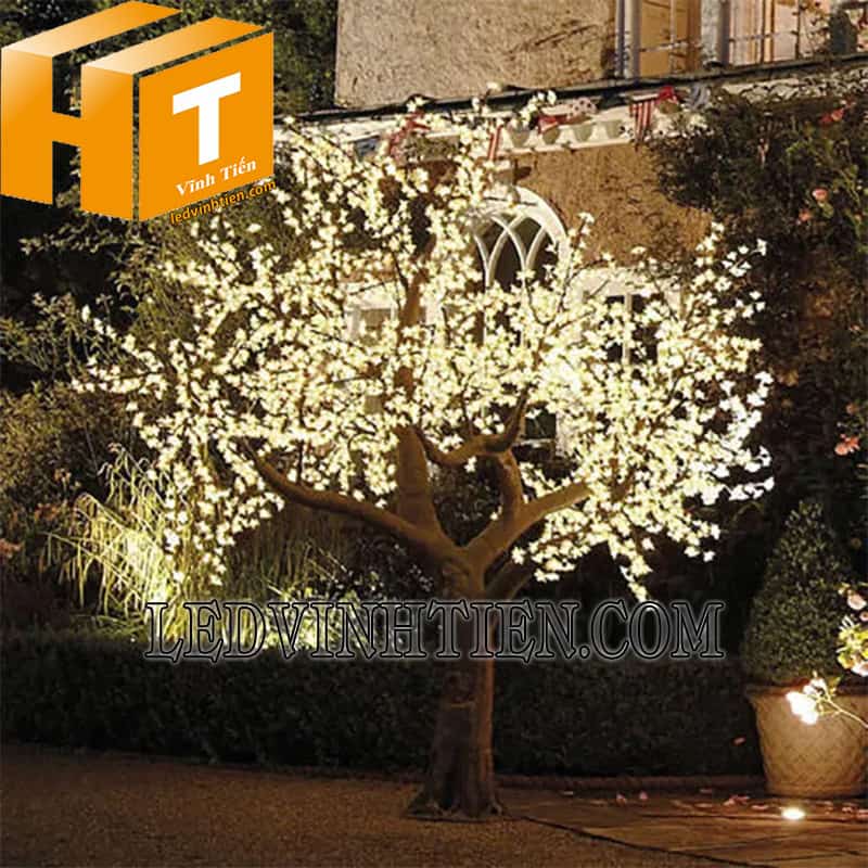 Hoa mai đèn led màu vàng