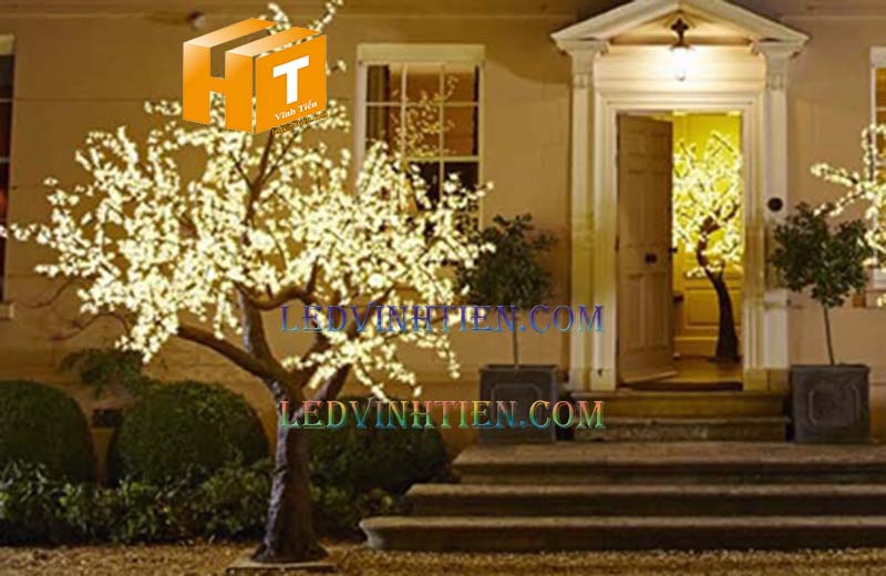 Hoa mai đèn led màu vàng