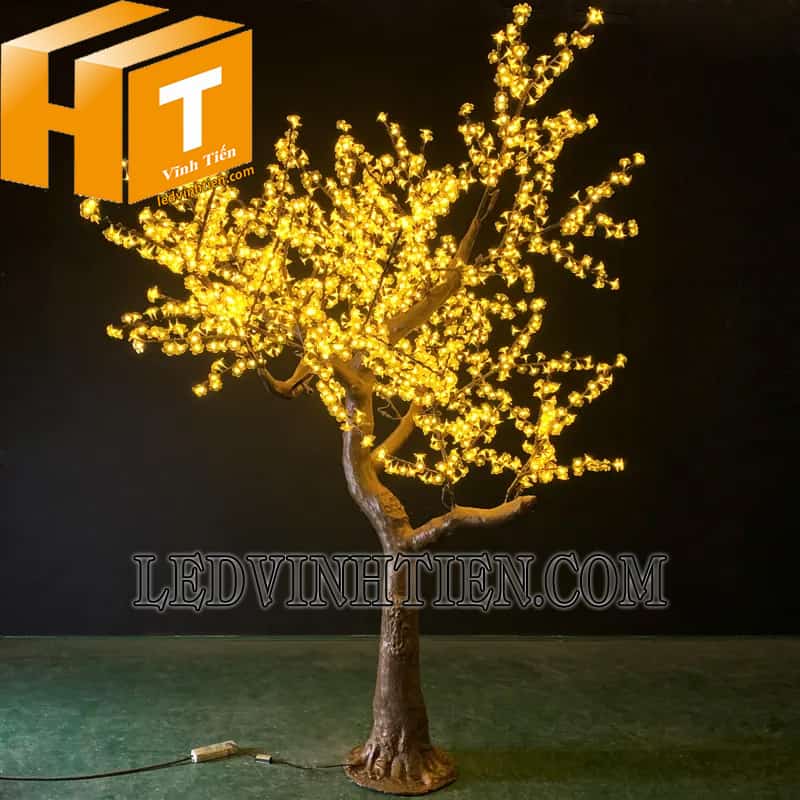 Phân phôi sỉ cây đèn trang trí tại phú yên