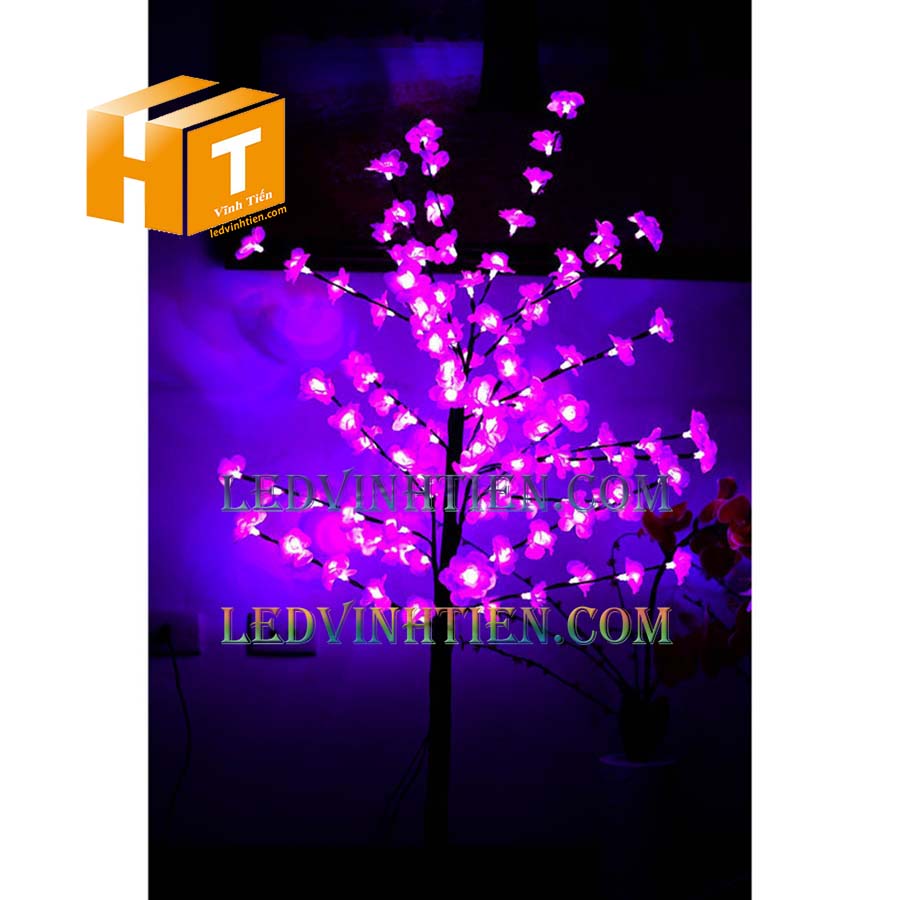 Bán hoa mai đèn led tại tuy hoà\