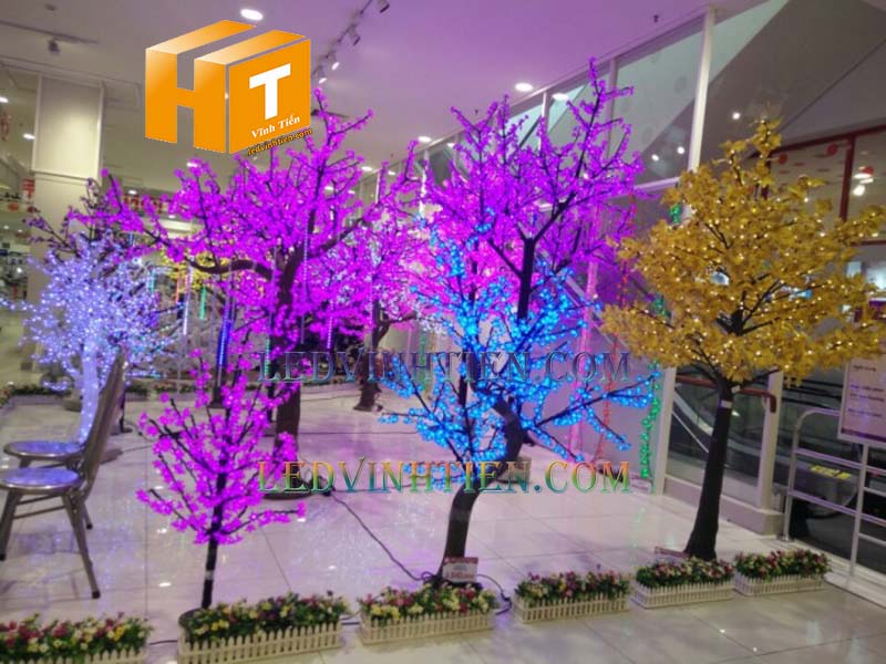 Bán cây đèn trang trí tại phú yên