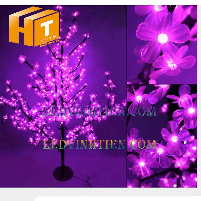 Hoa mai đèn led 4m màu tím loại tốt