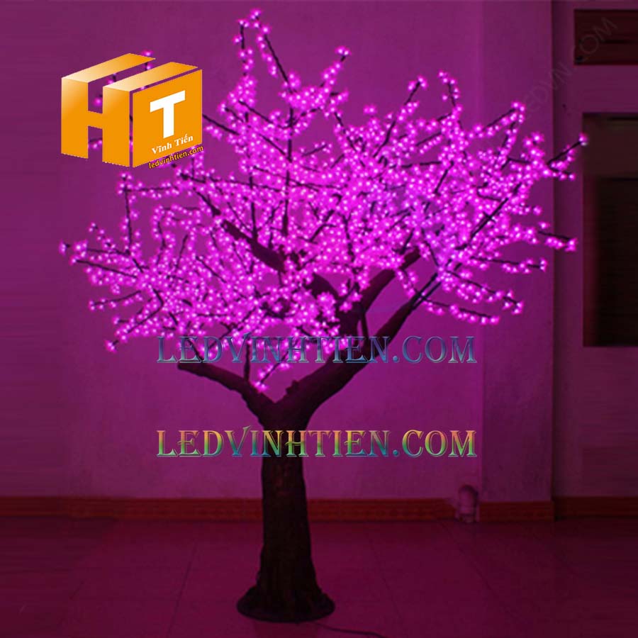 Phân phối sỉ cây hoa đèn led tại tuy hoà