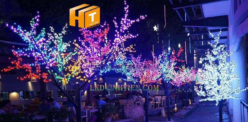 Hoa đào đèn led 5m màu xanh dương siêu sáng