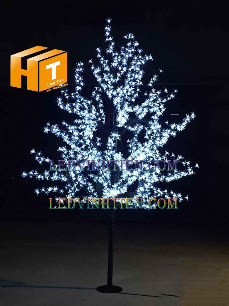 Hoa đào đèn led 5m màu trắng