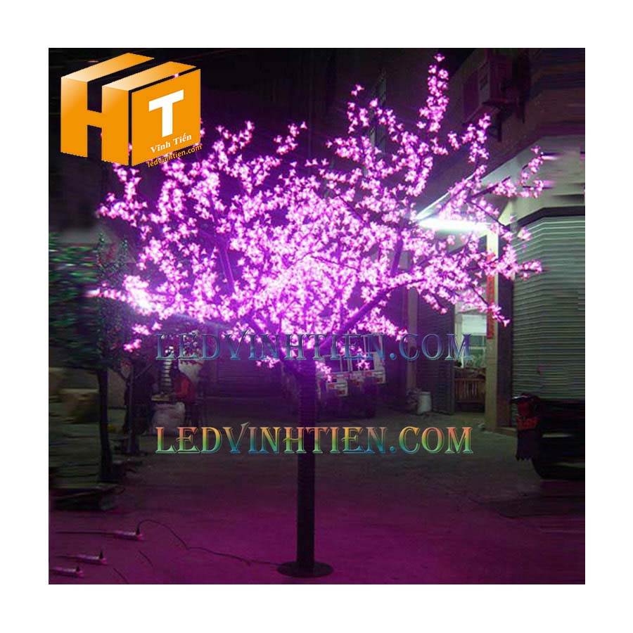 Hoa đào đèn led 5m màu tím giá rẻ