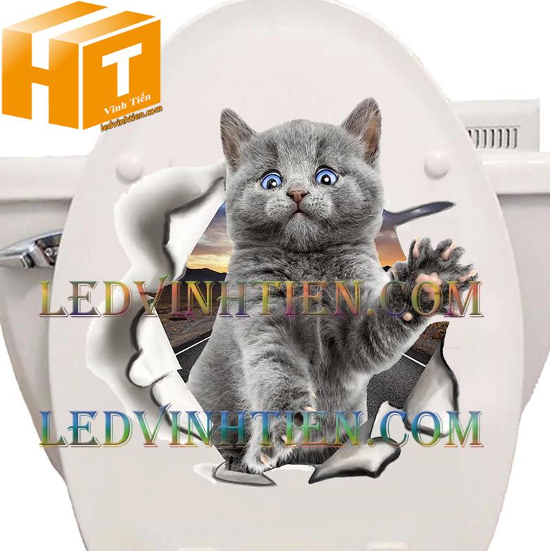 Phân phối sỉ Bồn cầu một khối, nắp đóng êm TC600VS hiệu ToTo cao cấp, loại tốt, giá rẻ, mã CW823RAT8 tại Tuy hòa Phú yên