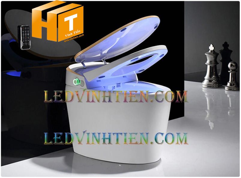 Tuy Hòa Phú Yên: Bán Bàn cầu một khối TOTO, nắp đóng êm CW823RAT8