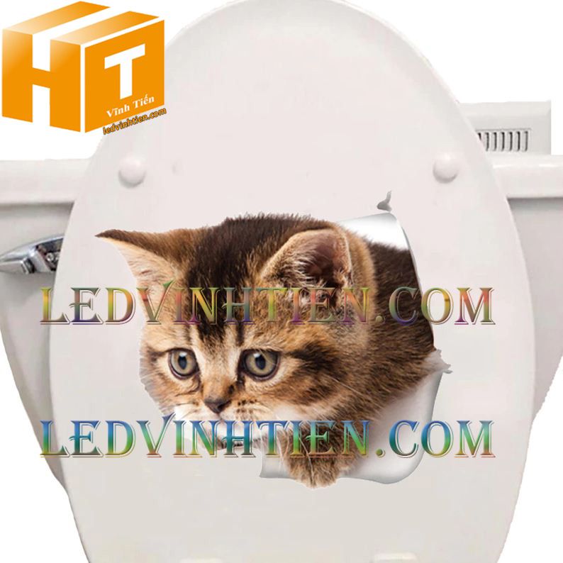 Bán sỉ thiết bị vệ sinh, Bàn cầu một khối, nắp đóng êm TC600VS hiệu ToTo, mã MS636DT8 hiệu ToTo loại tốt, tuy hòa phú yên