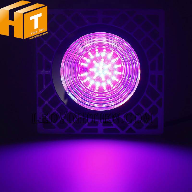 Đèn pha led RGB 50w đổi màu tự động chính hãng