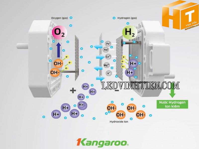 Máy lọc nước Hydrogen ion kiềm Kangaroo KG100MED