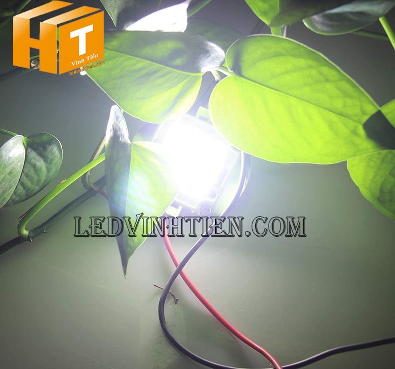 Chip led 100W màu trắng siêu sáng