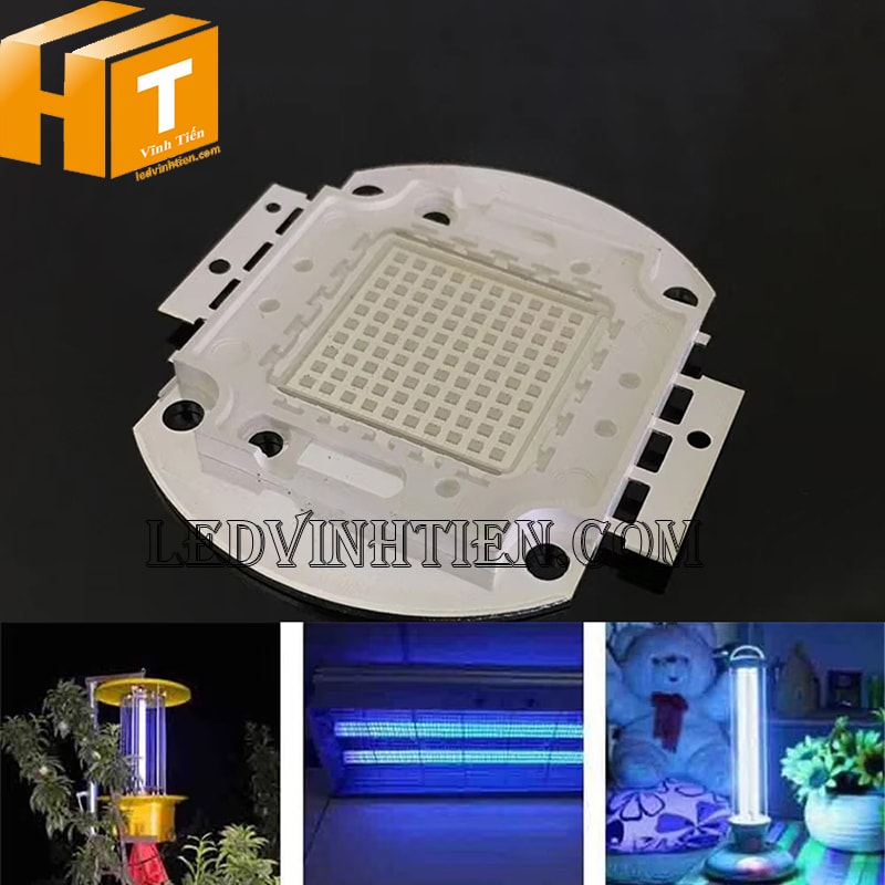 Chip đèn pha led 100W màu xanh dương