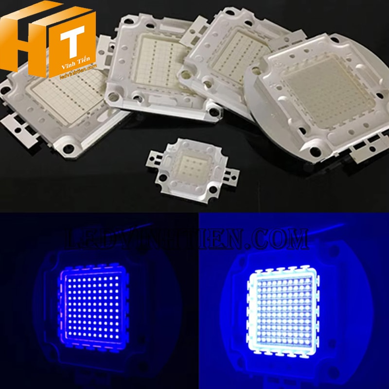 Chip led 100W màu xanh dương