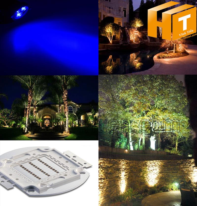 Chip led 30W ánh sáng màu xanh dương dùng để rọi cây