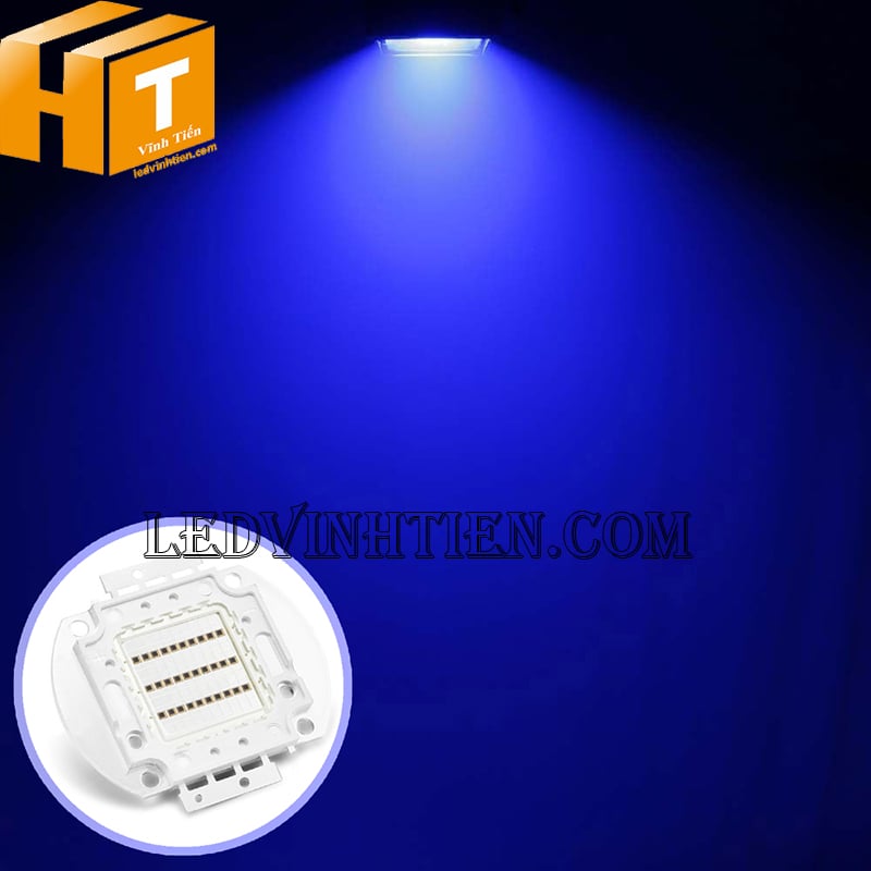 Tim đèn pha 30w xanh dương siêu sáng