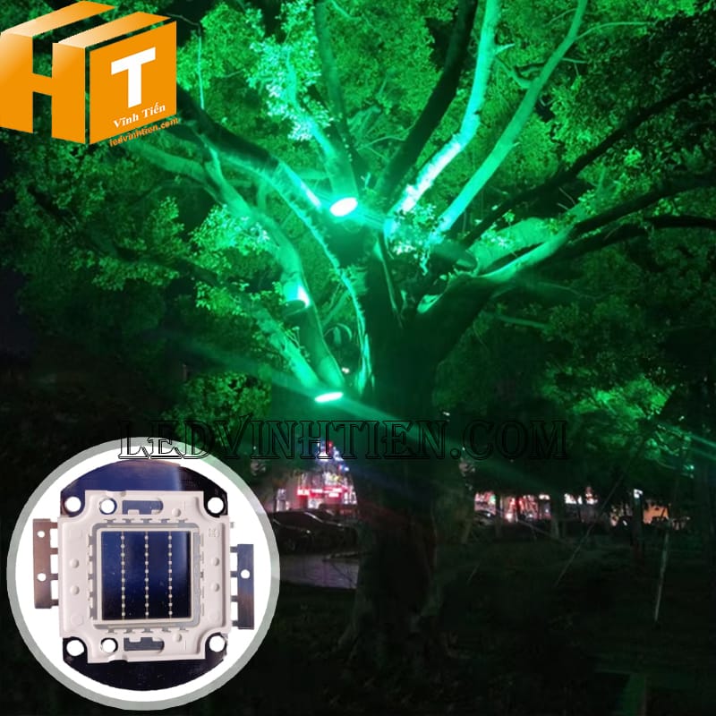Chip đèn pha 30W ánh sáng xanh lá dùng để rọi cây