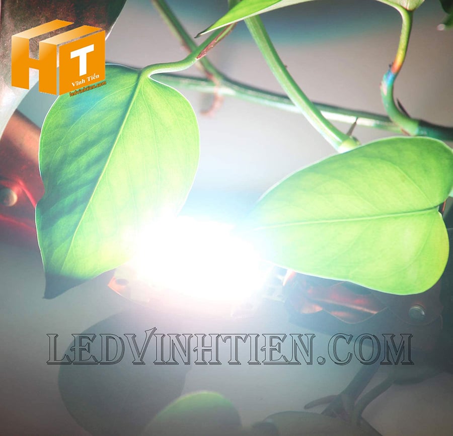 Chip led 50W ánh sáng 6500K